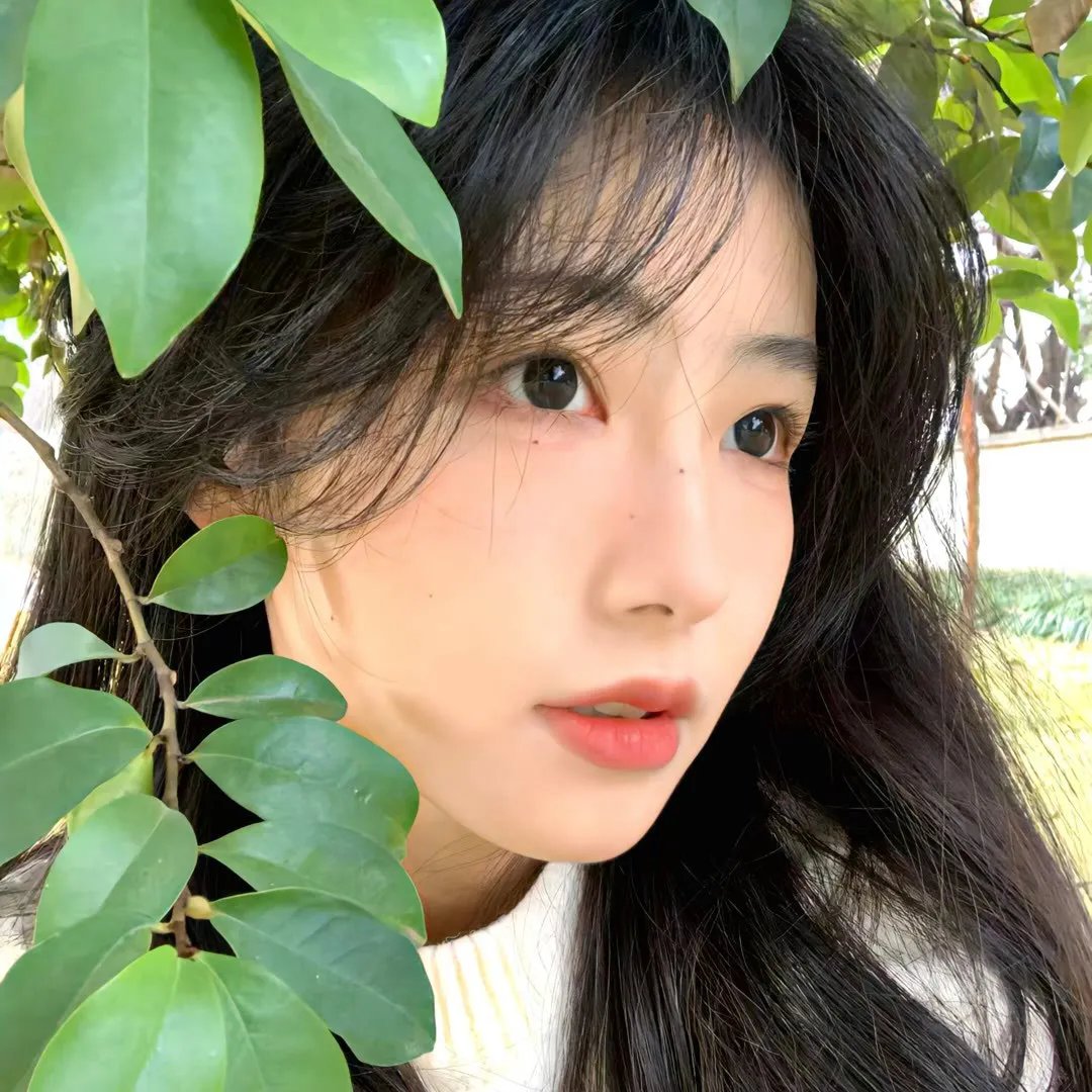 洪拳小子